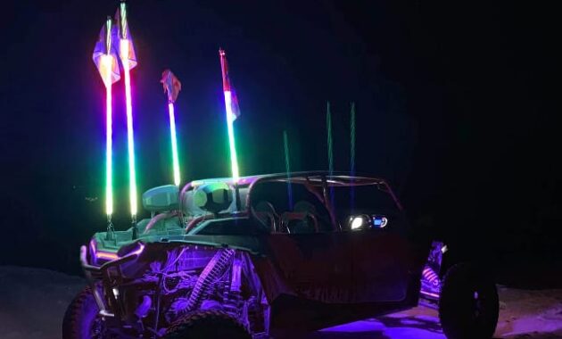 Whip Lights on Truck